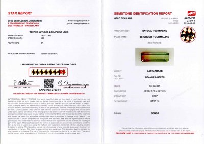 Certificate Octagon cut bi-color tourmaline 8.89 carats