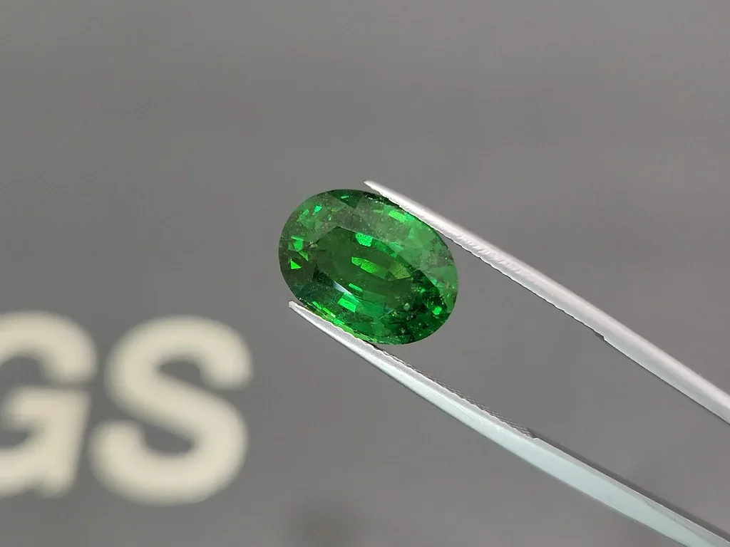 Vivid Green tsavorite garnet in oval cut 7.04 carats, Tanzania  Image №3