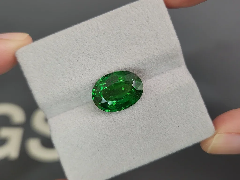 Vivid Green tsavorite garnet in oval cut 7.04 carats, Tanzania  Image №4