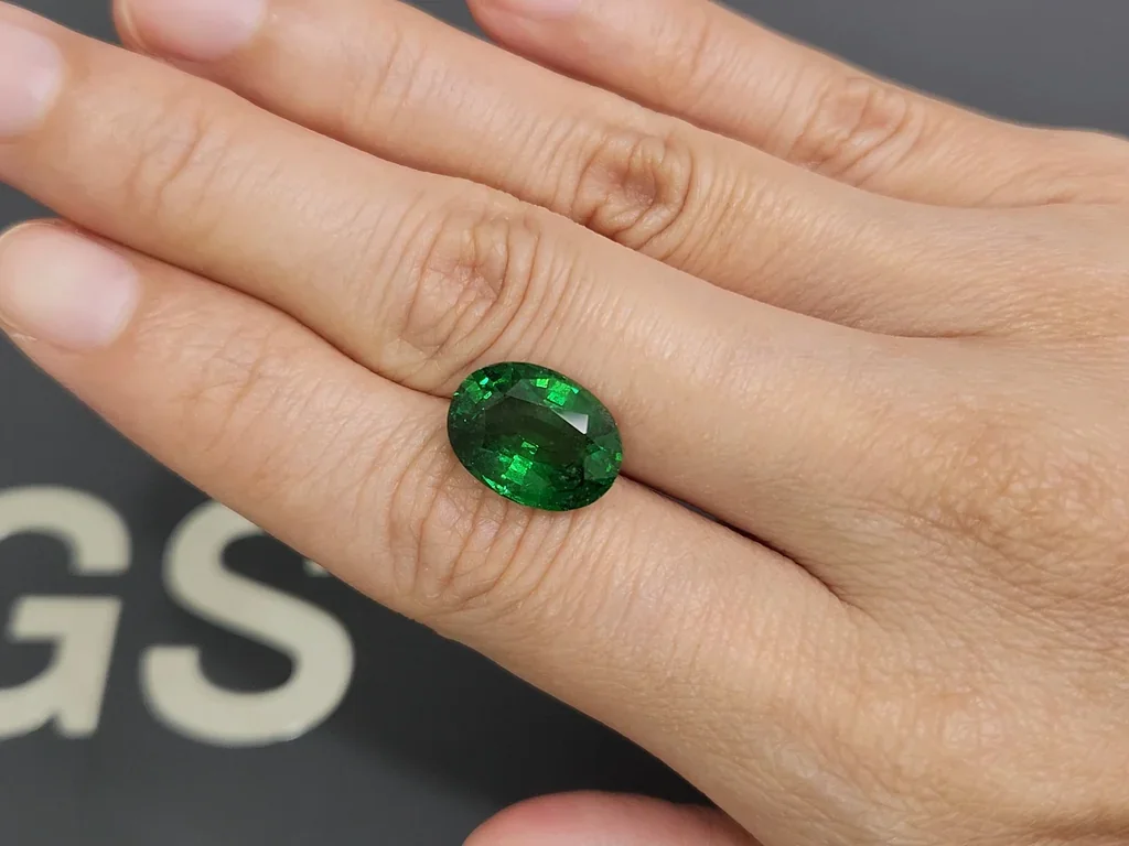 Vivid Green tsavorite garnet in oval cut 7.04 carats, Tanzania  Image №2