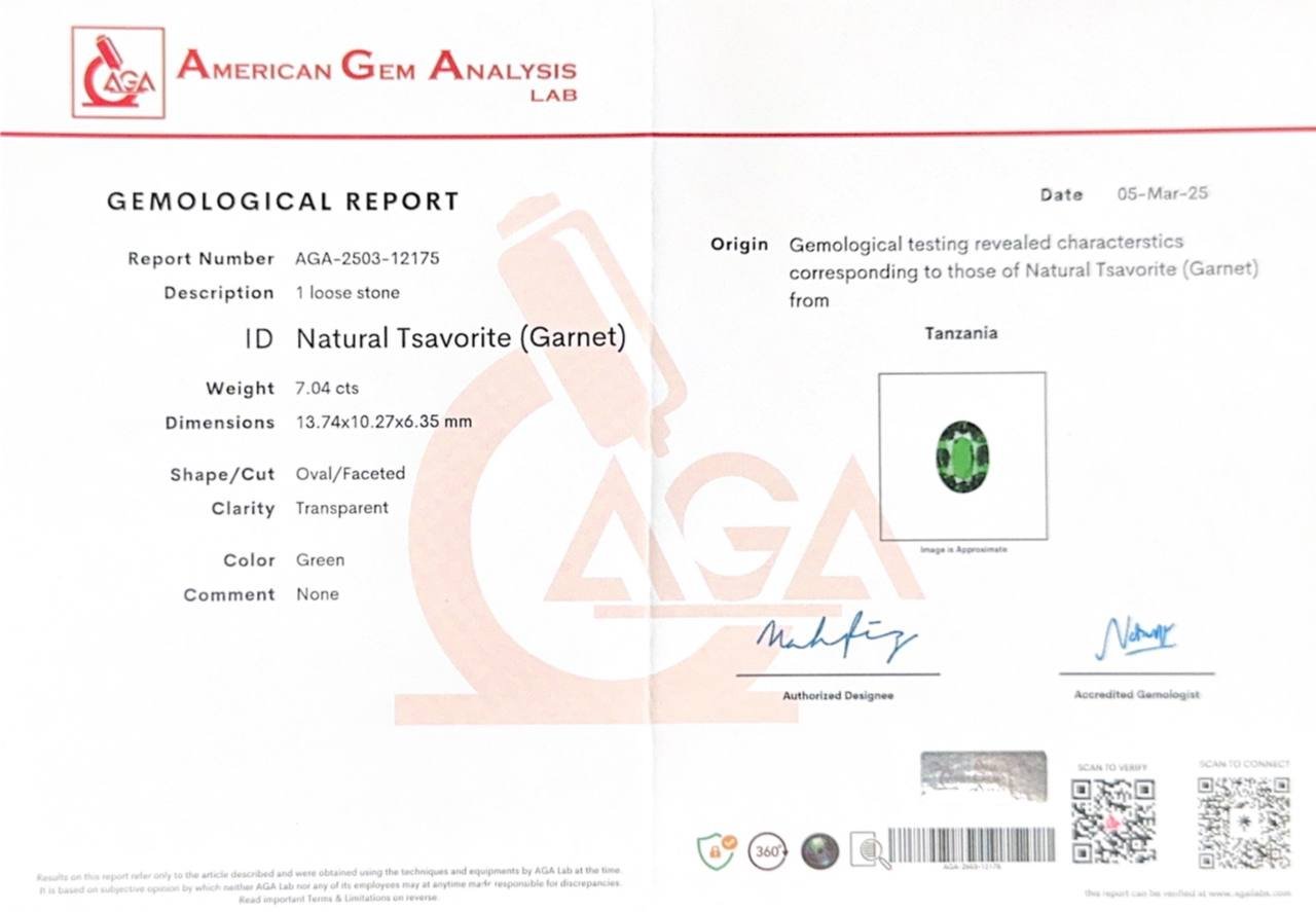 Vivid Green tsavorite garnet in oval cut 7.04 carats, Tanzania  Image №6