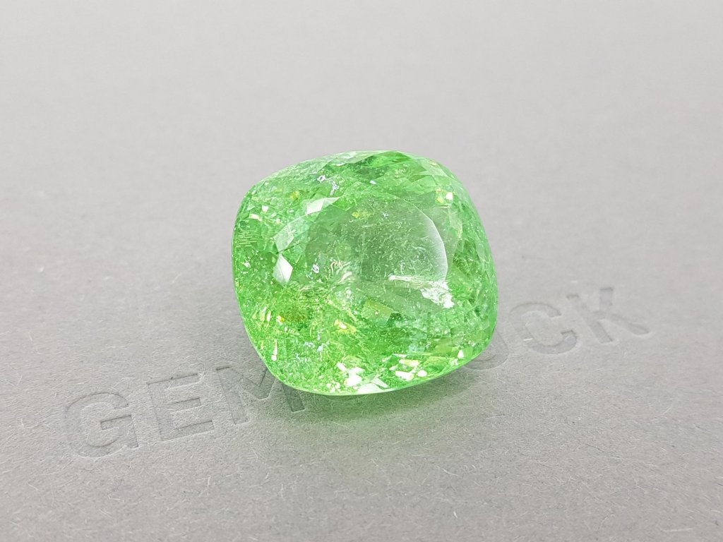 Unique bright green Paraiba tourmaline 42.01 ct, Mozambique Image №2