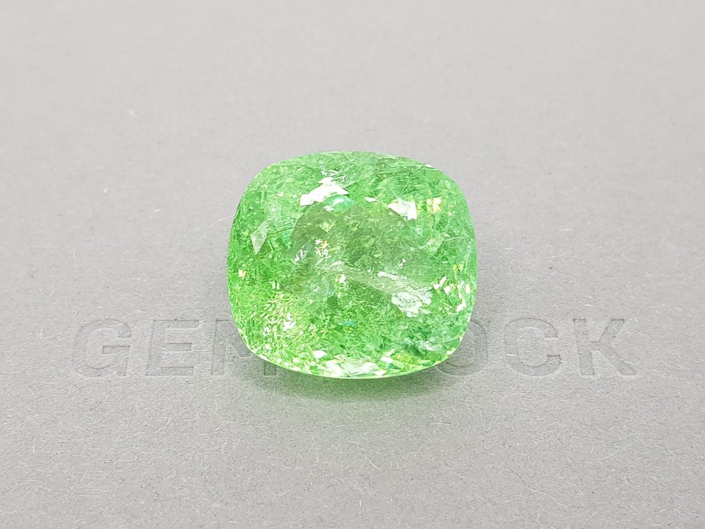 Unique bright green Paraiba tourmaline 42.01 ct, Mozambique Image №1