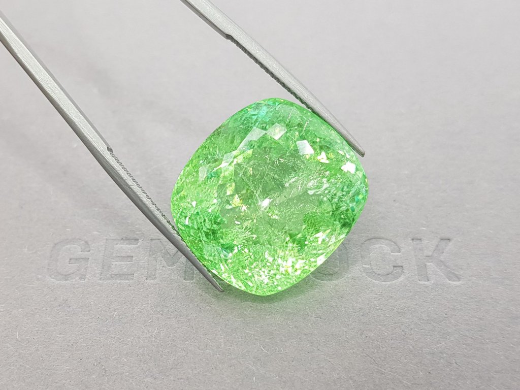 Unique bright green Paraiba tourmaline 42.01 ct, Mozambique Image №4
