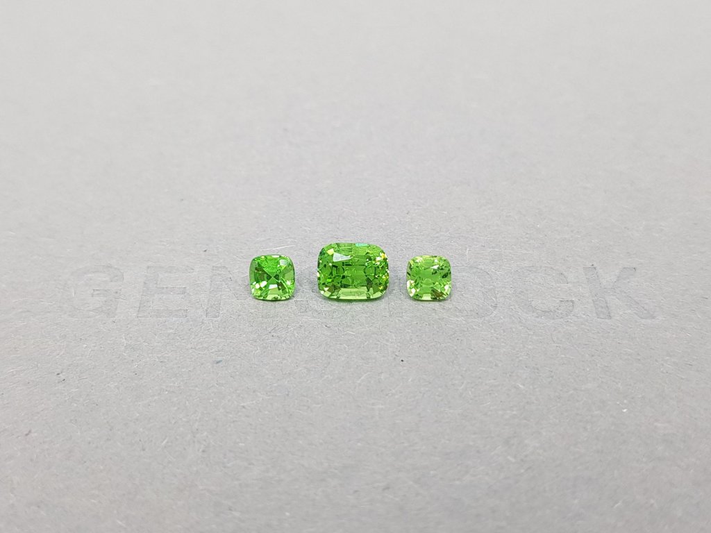 Set of bright tsavorite garnets 1.66 ct Image №1