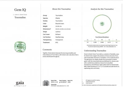 Certificate Cushion cut mint tourmaline 13.53 carats, Afghanistan 