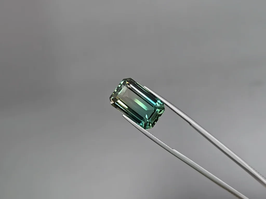 Polychrome tourmaline octagon cut 17.53 carats, Afghanistan Image №3