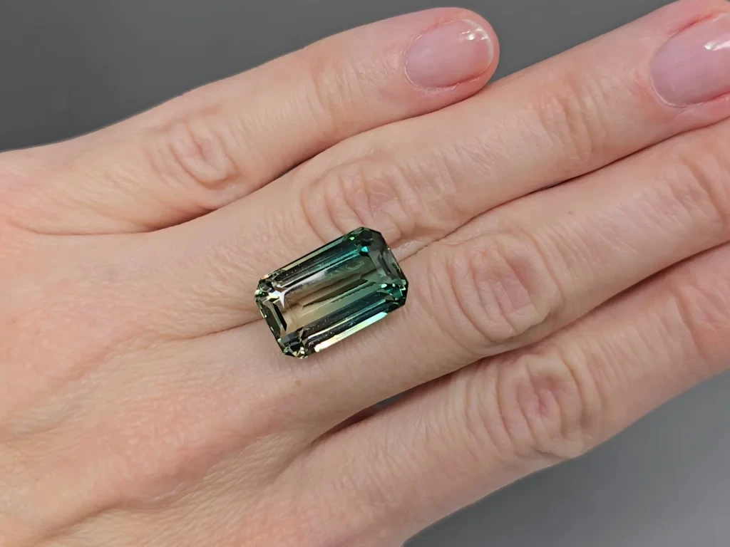 Polychrome tourmaline octagon cut 17.53 carats, Afghanistan Image №2