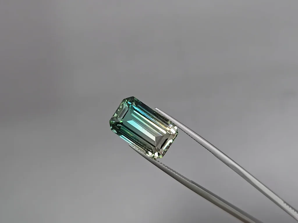 Polychrome tourmaline octagon cut 17.53 carats, Afghanistan Image №4