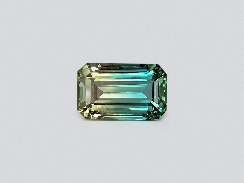 Polychrome tourmaline octagon cut 17.53 carats, Afghanistan Image №1