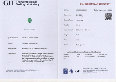 Certificate Investment grade neon bluish green Paraíba tourmaline oval cut 5.82 carats, Mozambique