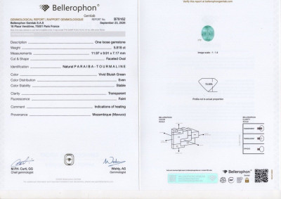 Certificate Investment grade neon bluish green Paraíba tourmaline oval cut 5.82 carats, Mozambique