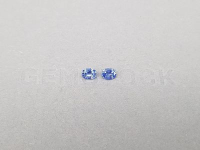 Pair of oval cut Cornflower sapphires 0.71 ct, Sri Lanka photo