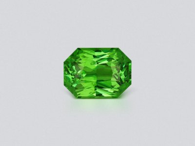 Garnet tsavorite radiant cut 1.27 carats, Kenya photo