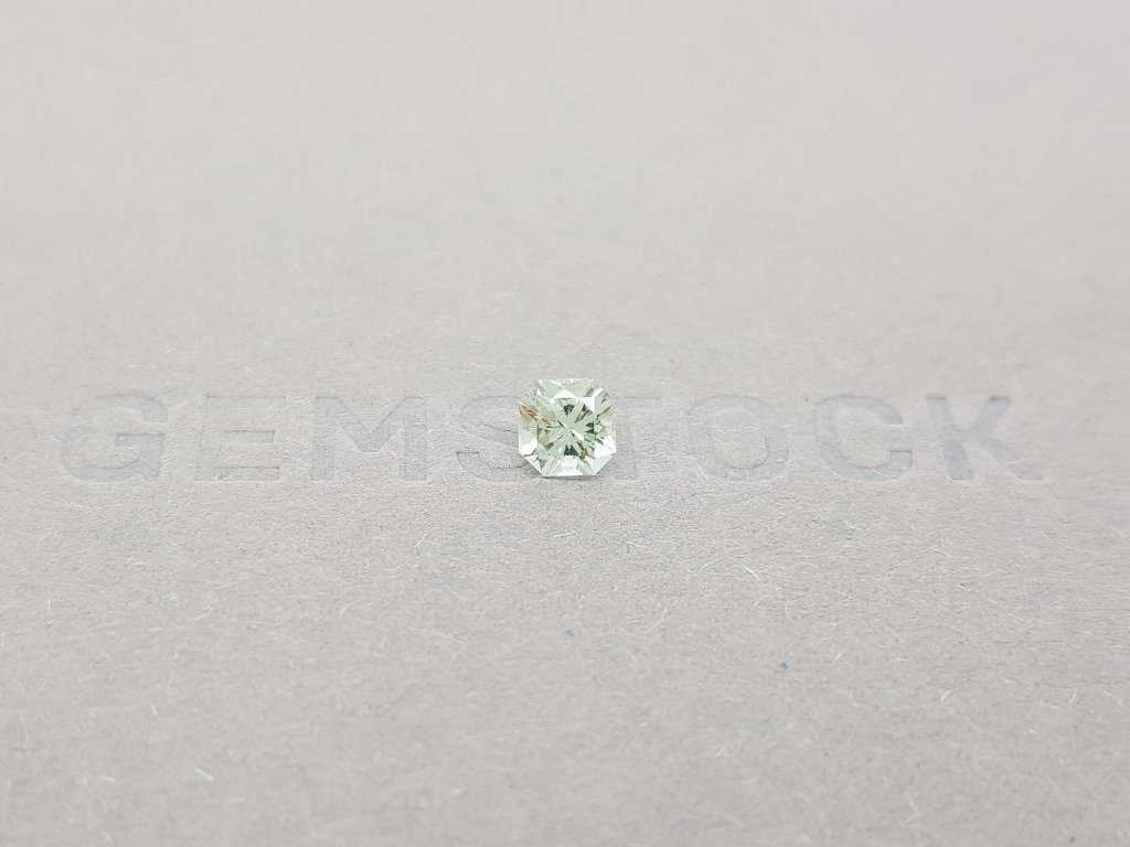 Light green radiant cut tourmaline 0.56 ct Image №1