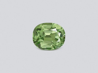 Mint tourmaline in oval cut 3.62 carats, Africa photo