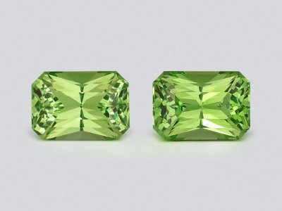 Pair garnets tsavorite of radiant cut 2.37 carats, Kenya photo