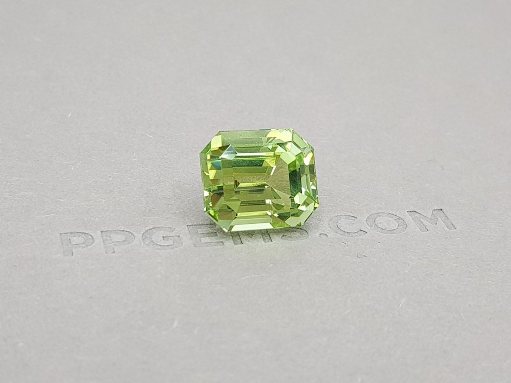 Tourmaline octagon cut 15.75 ct Image №3