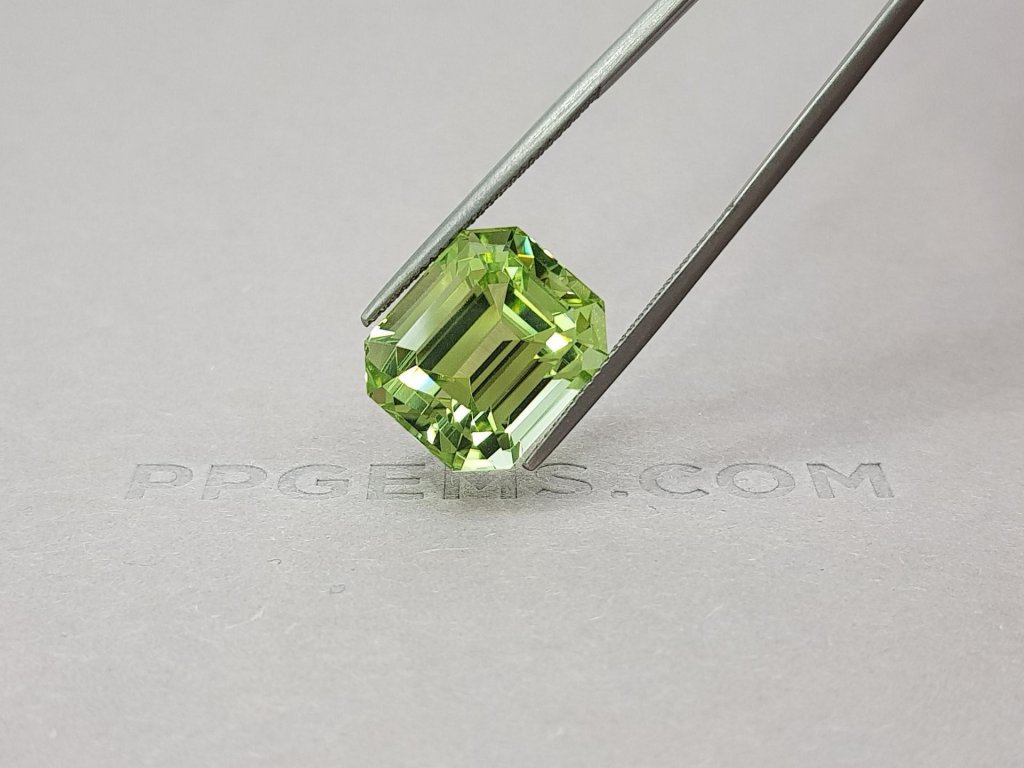Tourmaline octagon cut 15.75 ct Image №4