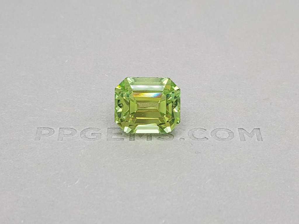 Tourmaline octagon cut 15.75 ct Image №1