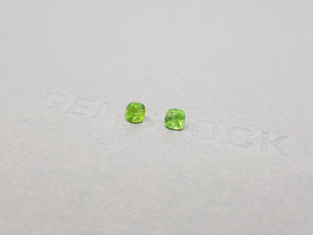 Pair of cushion cut tsavorite garnets 0.68 ct Image №3