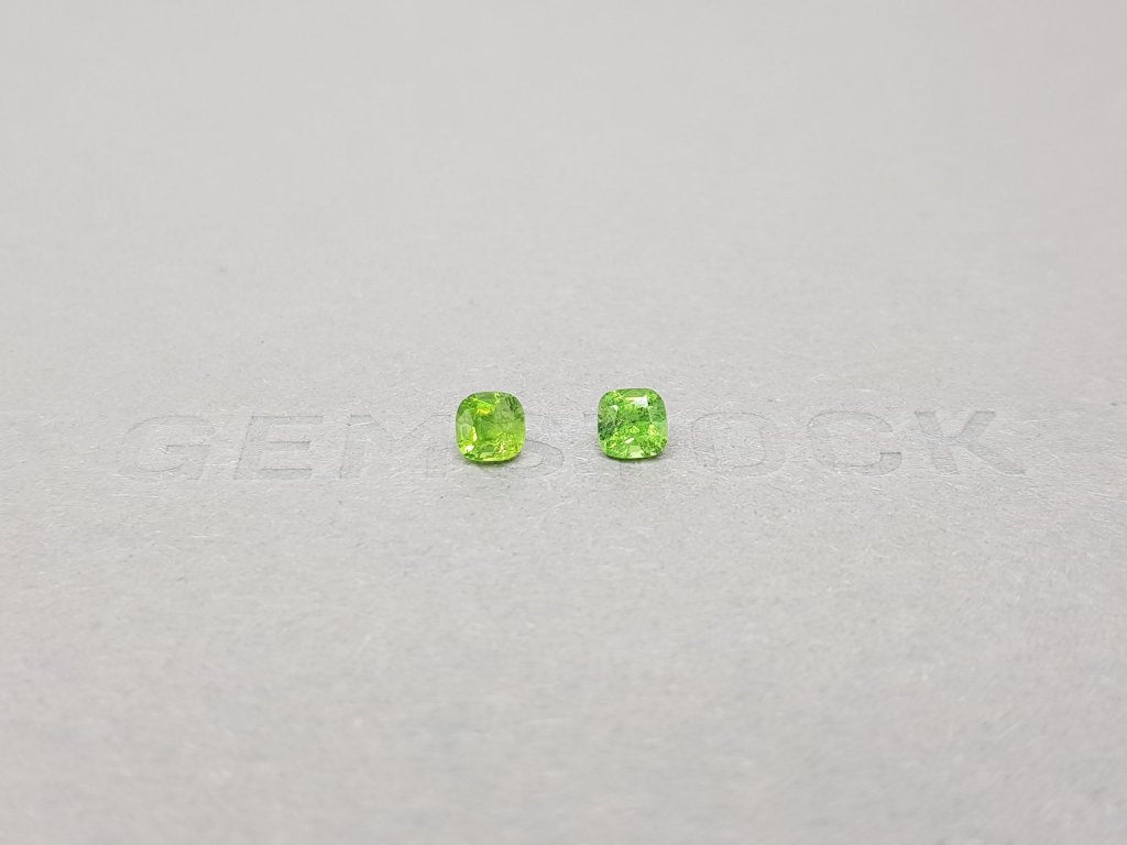 Pair of cushion cut tsavorite garnets 0.68 ct Image №1