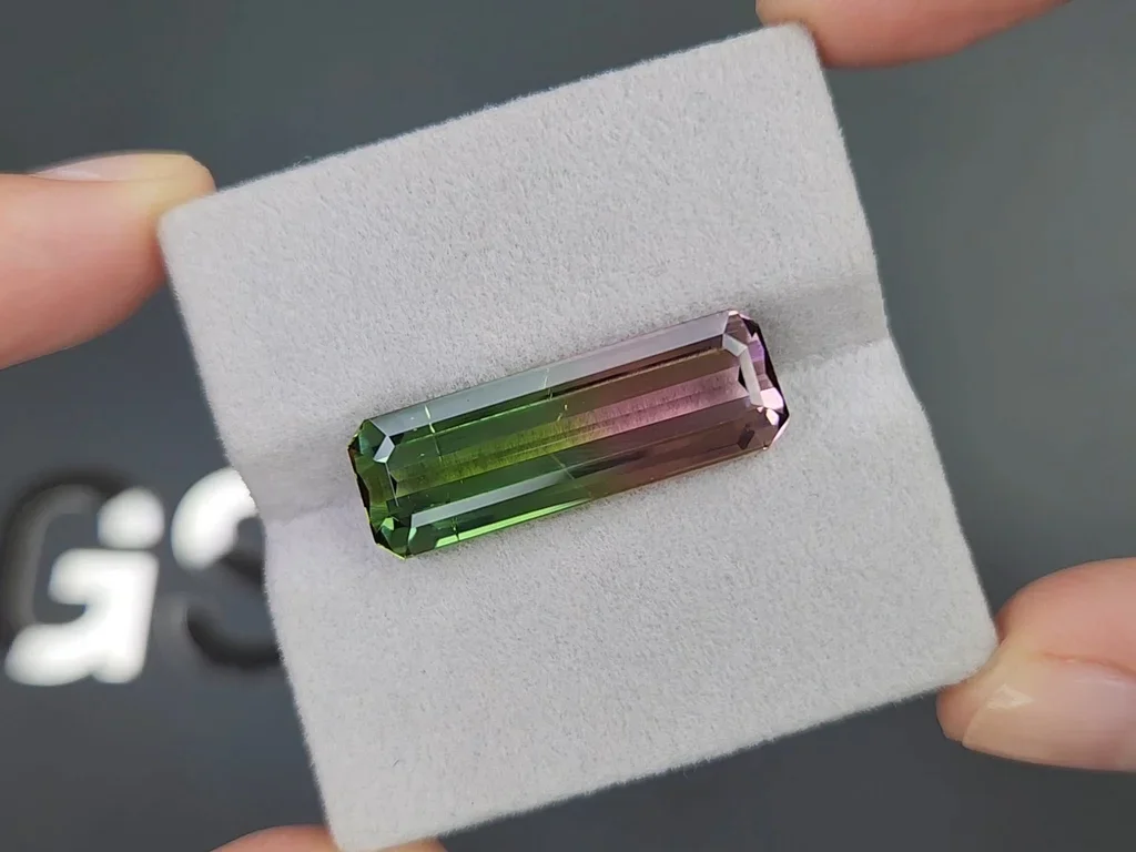 Watermelon tourmaline in octagon cut 15.56 carats, Afghanistan  Image №4