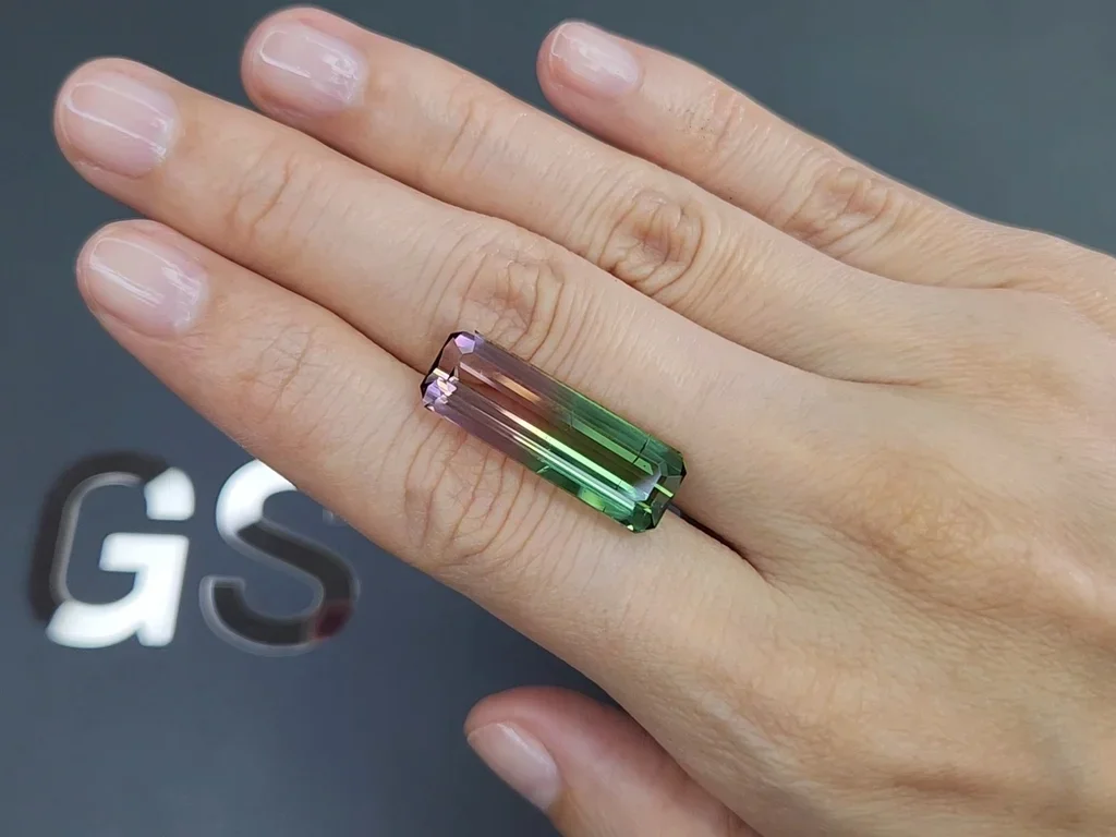 Watermelon tourmaline in octagon cut 15.56 carats, Afghanistan  Image №2