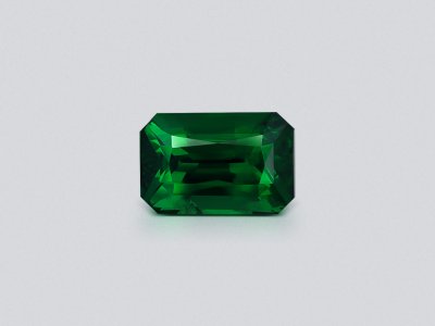 Garnet tsavorite Vivid Green octagon cut 1.55 carats, Tanzania  photo