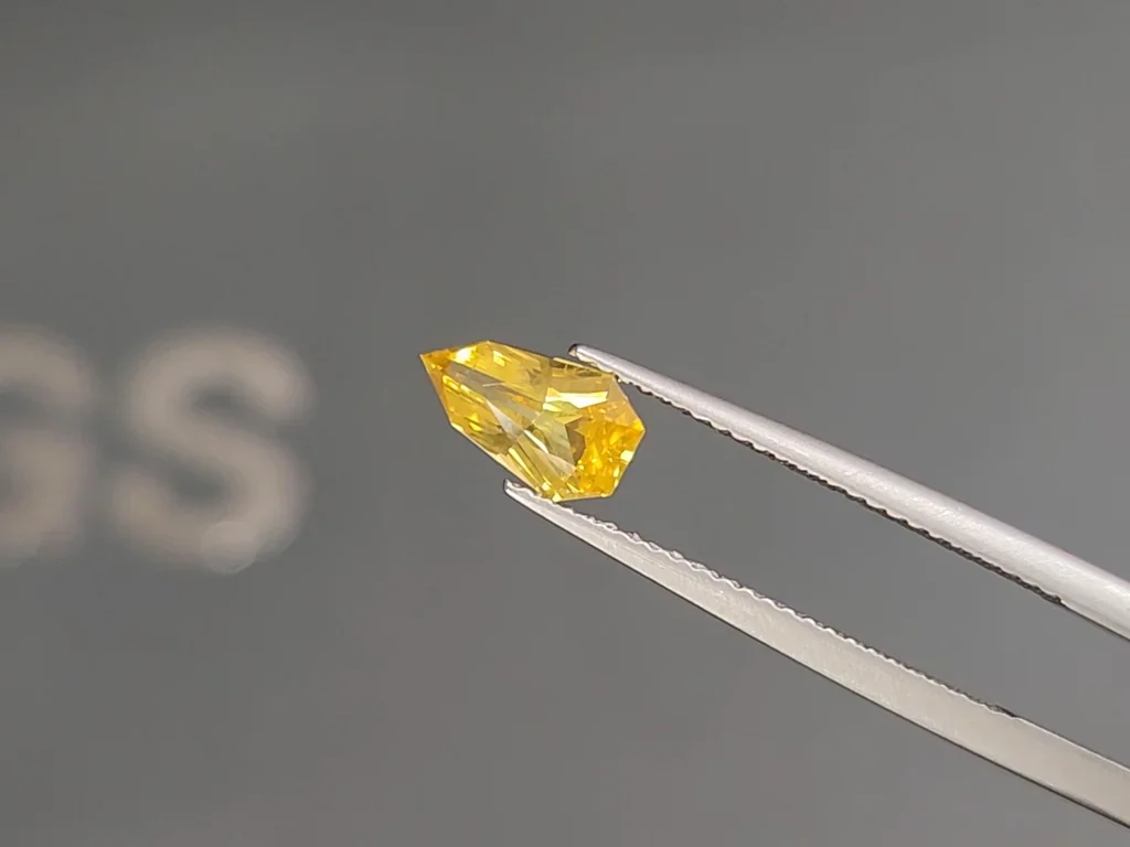 Intense Yellow fantasy cut sapphire 1.01 ct, Sri Lanka  Image №2