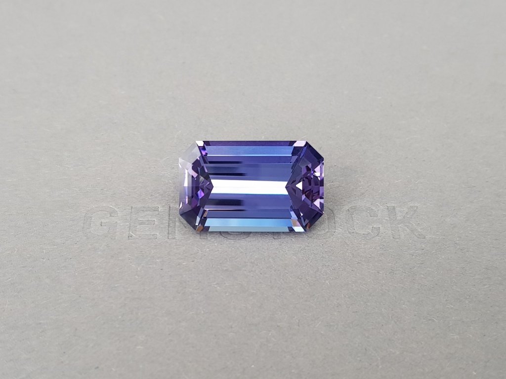 Unheated octagon cut tanzanite 23.34 carats, Tanzania Image №1