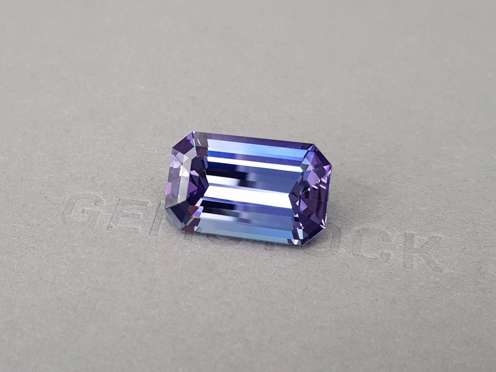 Unheated octagon cut tanzanite 23.34 carats, Tanzania Image №3