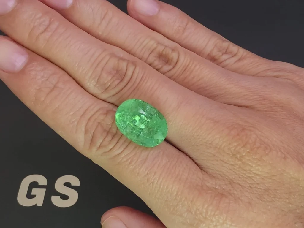 Tourmaline Paraíba Neon green oval cut 12.12 carats, Mozambique  Image №2