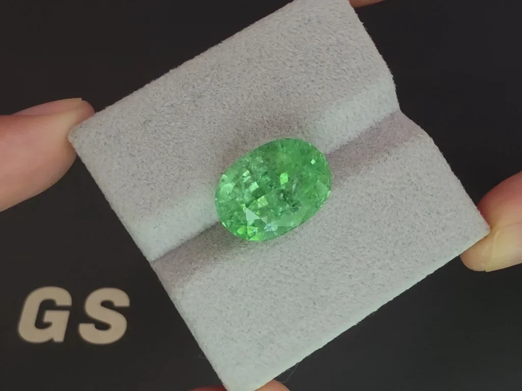 Tourmaline Paraíba Neon green oval cut 12.12 carats, Mozambique  Image №4