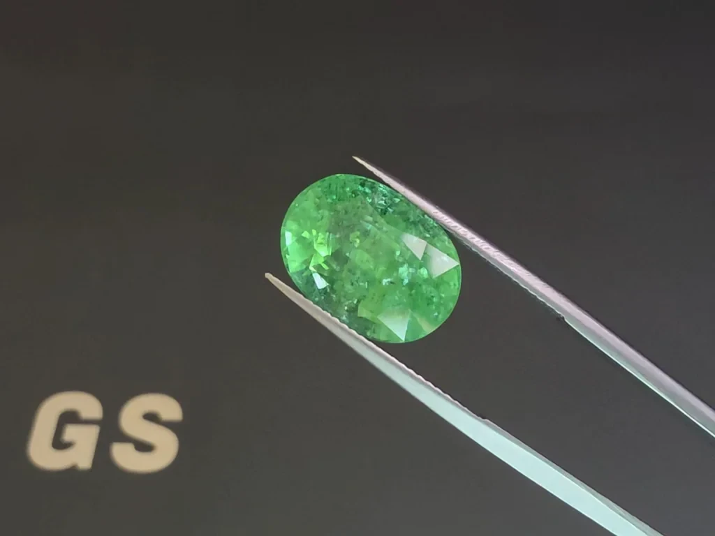 Tourmaline Paraíba Neon green oval cut 12.12 carats, Mozambique  Image №3