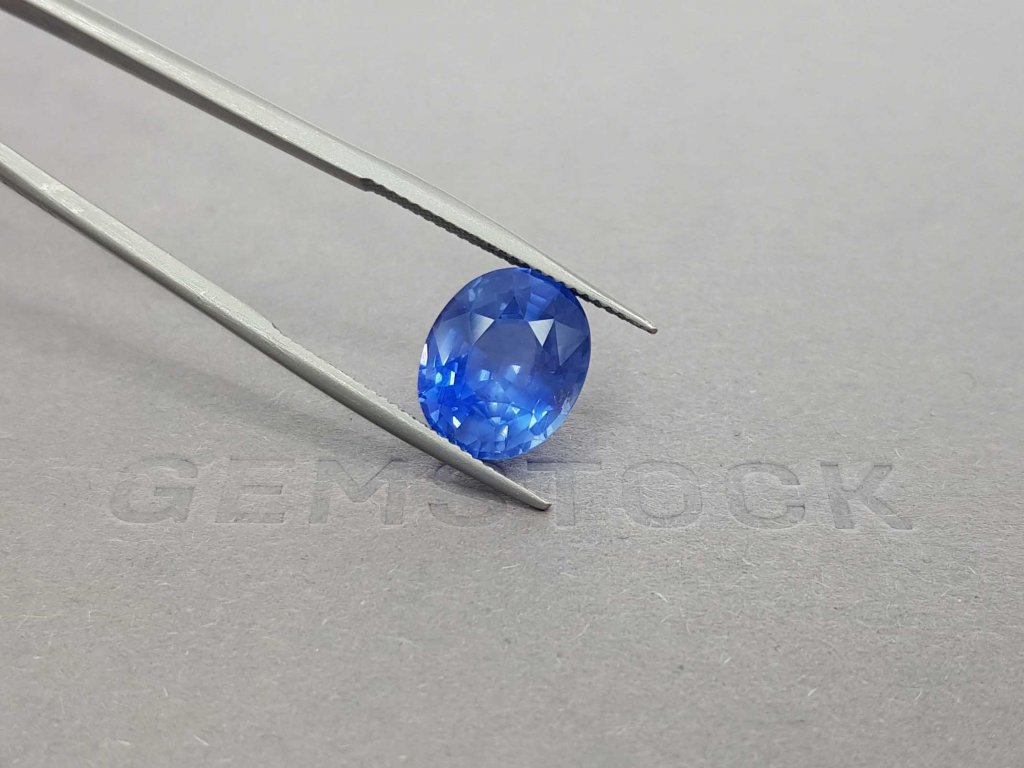 Unheated Cornflower color sapphire 8.04 ct, Sri Lanka, ICA Image №5