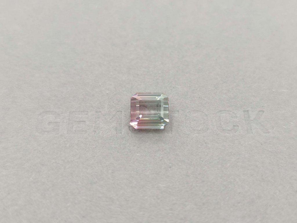 Octagon polychrome tourmaline 3.50 ct, Mozambique Image №1