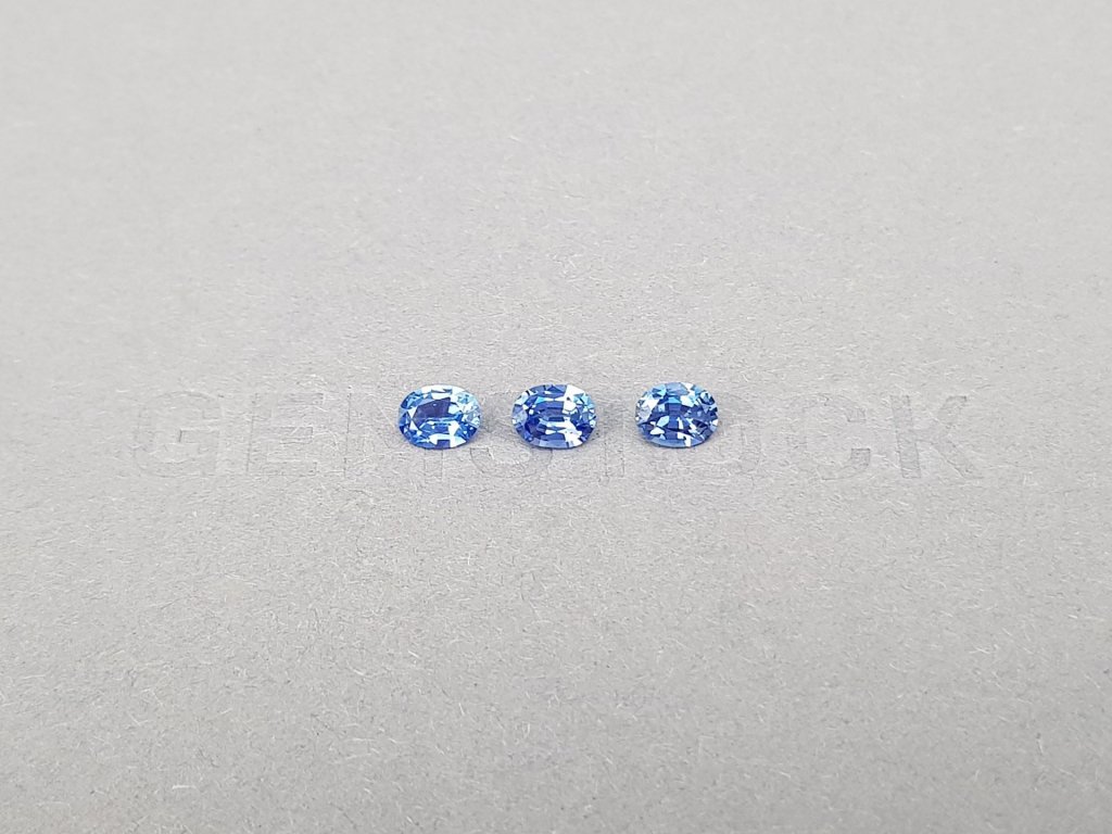Set of Cornflower color sapphires in oval cut 1.15 ct, Sri Lanka Image №1
