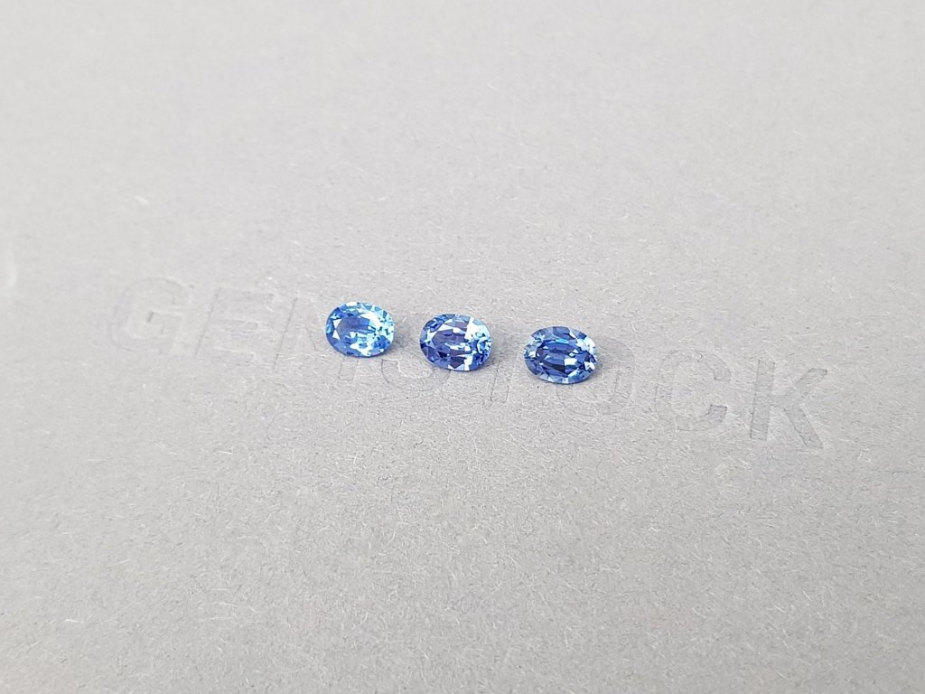 Set of Cornflower color sapphires in oval cut 1.15 ct, Sri Lanka Image №3
