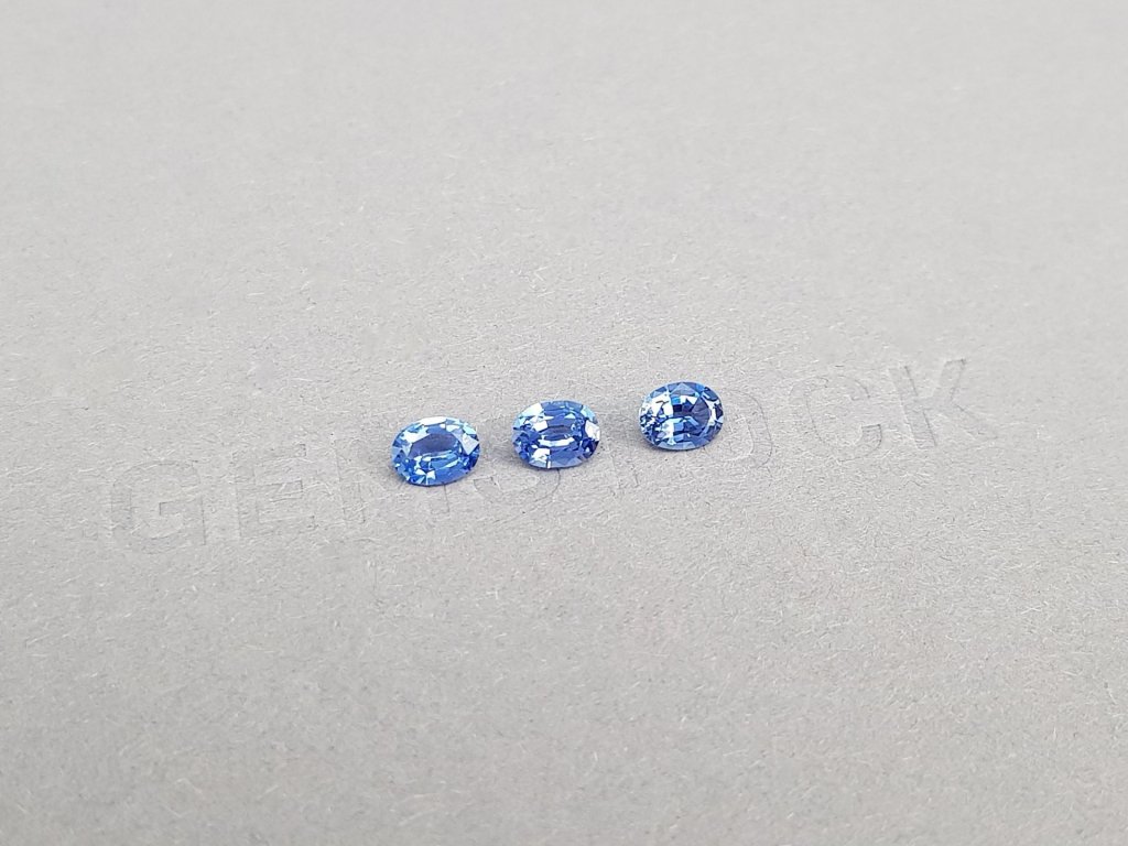 Set of Cornflower color sapphires in oval cut 1.15 ct, Sri Lanka Image №2