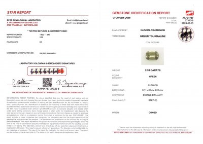 Certificate Mint green tourmaline in cushion cut 2.38 carats, Africa