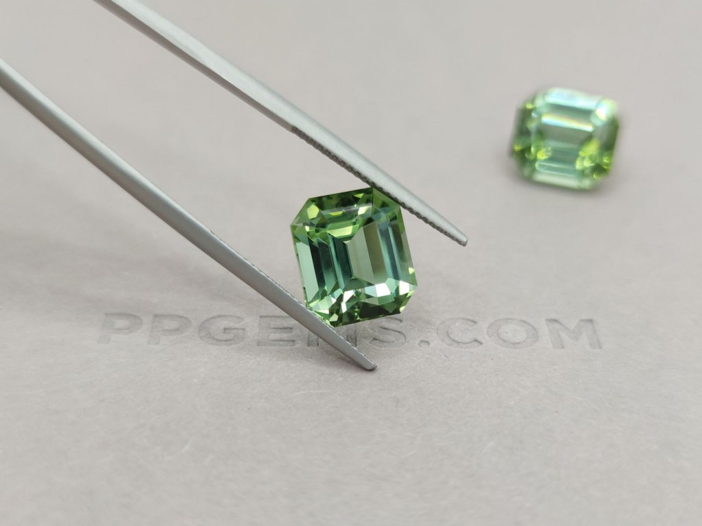 Pair of green octagon cut tourmalines 19.36 ct Image №4