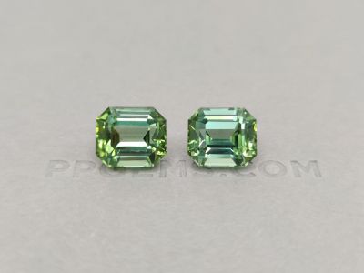 Pair of green octagon cut tourmalines 19.36 ct photo