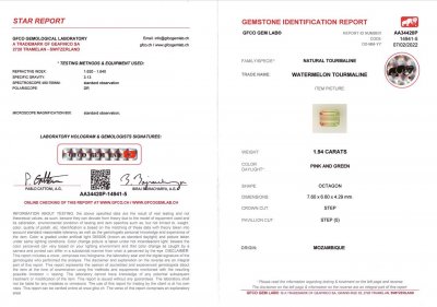 Certificate Watermelon tourmaline octagon cut 1.94 ct, Mozambique