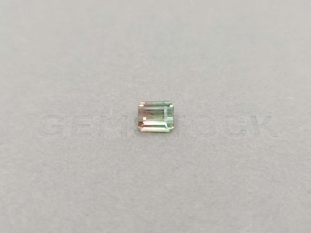 Watermelon tourmaline octagon cut 1.94 ct, Mozambique Image №2