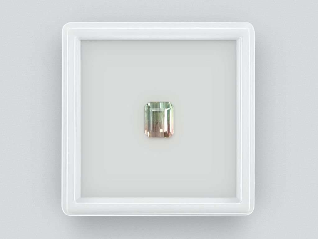 Watermelon tourmaline octagon cut 1.94 ct, Mozambique Image №1
