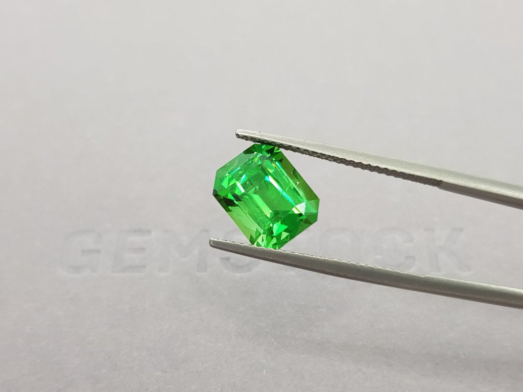 Large tsavorite garnet from Kenya, 4.31 ct Image №2