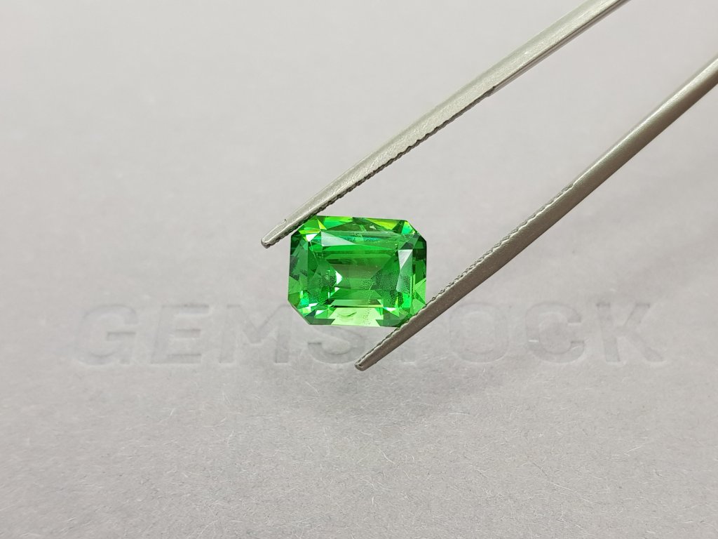 Large tsavorite garnet from Kenya, 4.31 ct Image №3