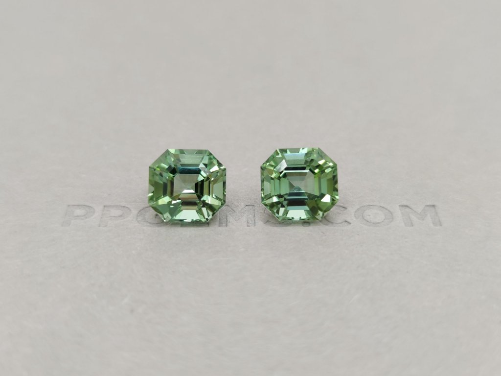 Pair of Asher cut verdelites 10.38 ct Image №1