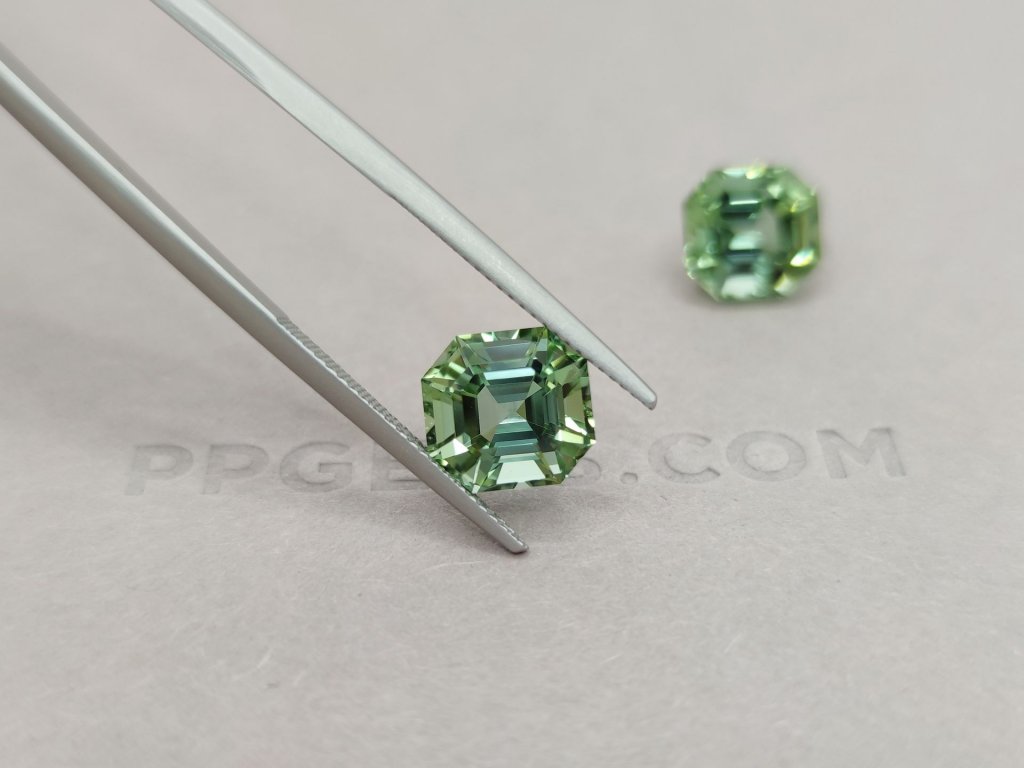 Pair of Asher cut verdelites 10.38 ct Image №4